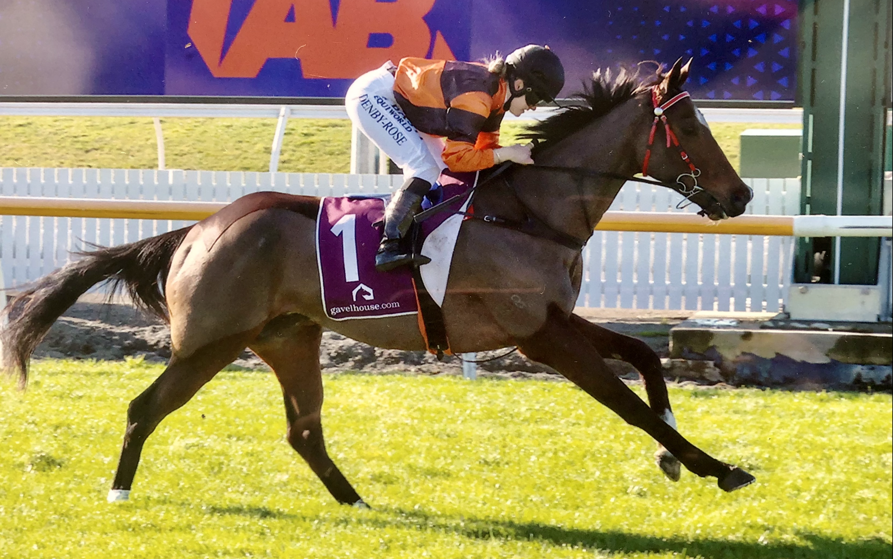 Victor Rouge Winning Grand National Riccarton in a WTP Bit with Brakes Ring Bit.